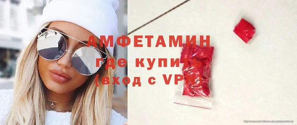 прущие грибы Семикаракорск