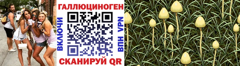 купить наркотик  Кыштым  Галлюциногенные грибы MAGIC MUSHROOMS 